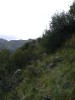 Sul sentiero verso Forcella Mont de S'ciota
